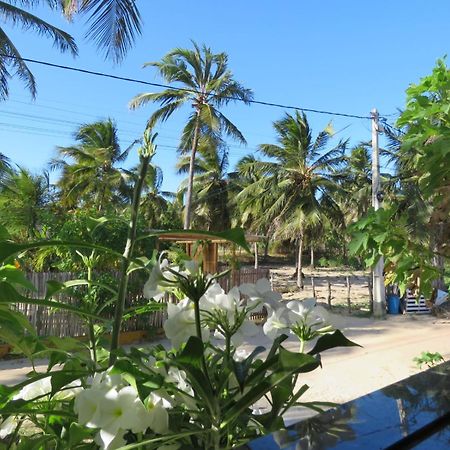 Villa Dos Coqueirais Icaraí Esterno foto
