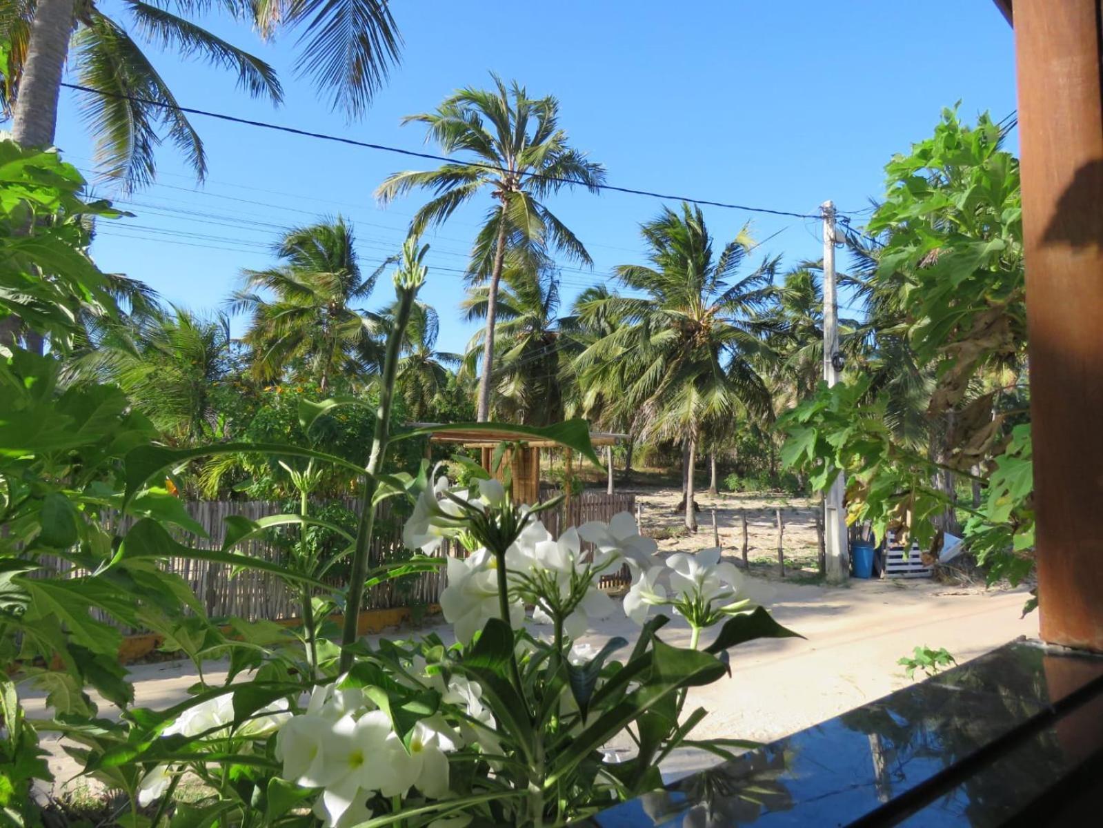 Villa Dos Coqueirais Icaraí Esterno foto